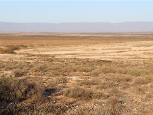 4885 ha Farm in Vanrhynsdorp