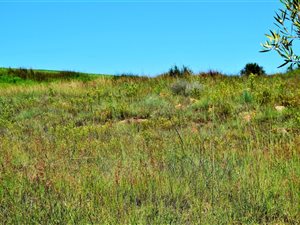 1.2 ha Land available in Austin View
