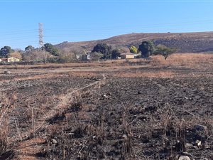 1000 m² Land available in Amajuba Park