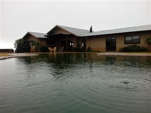 4.3 ha Farm in Peacevale