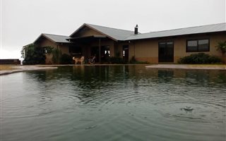 4.3 ha Farm in Peacevale