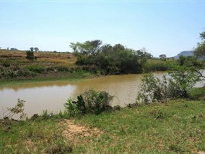 270 ha Farm in Modimole (Nylstroom)