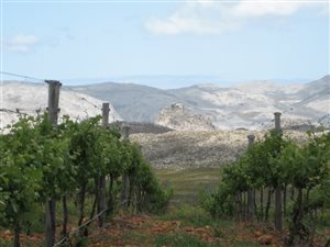 102 ha Farm in Elgin