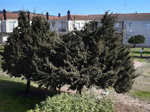2 Bed House in Langebaan Central