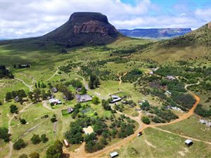 980 ha Farm in Harrismith