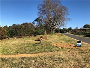 4720 m² Land available in Hilton