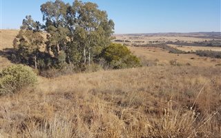 4.2 ha Land available in Boschkop