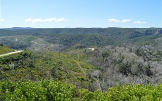 6111 m² Land available in Pezula Private Estate