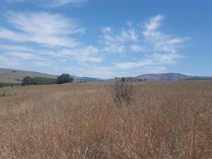 875 m² Land available in Dullstroom