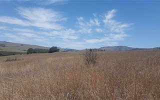 875 m² Land available in Dullstroom