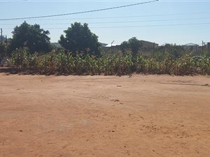 1000 m² Land available in Mankweng