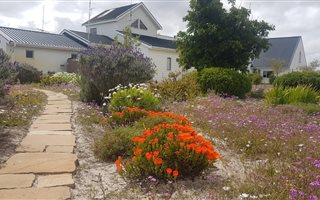 7 ha Farm in Cape Farms