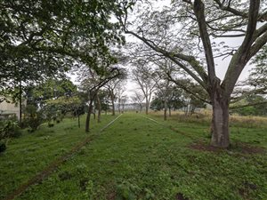 1.9 ha Land available in Crestview