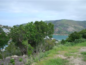 661 m² Land available in The Heads