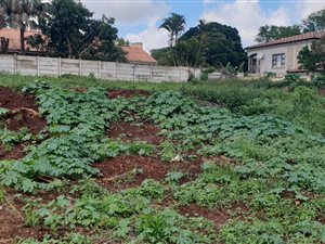 1020 m² Land available in Nyala Park