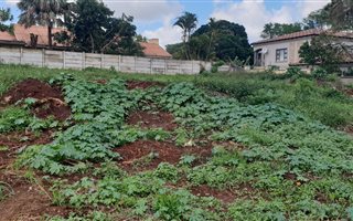 1020 m² Land available in Nyala Park