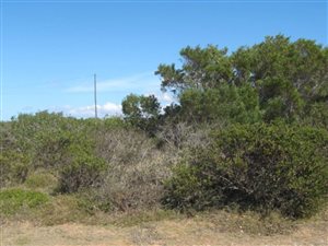 610 m² Land available in Boggomsbaai