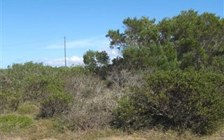 610 m² Land available in Boggomsbaai