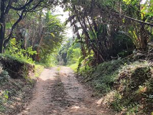 1407 m² Land available in Trafalgar