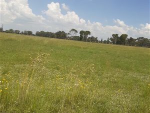 1 ha Land available in Bloemfontein