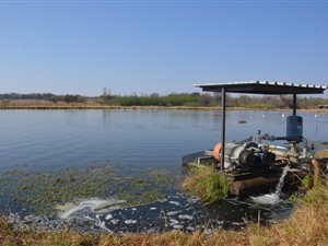 32 ha Farm in Modimolle