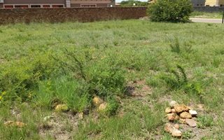 680 m² Land available in Theresa Park