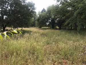 1696 m² Land available in Henley on Klip