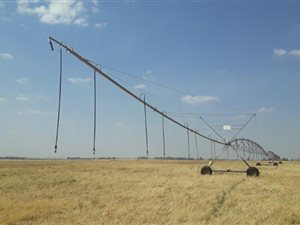 382 ha Farm in Bloemfontein Rural