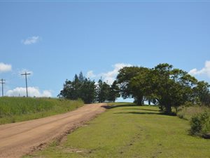 7.7 ha Farm with House in Dainfern