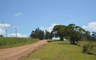 7.7 ha Farm with House in Dainfern