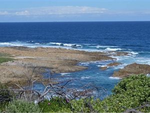 40.2 ha Farm in Cape St Francis