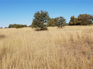 436 ha Farm in Schweizer Reyneke