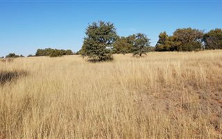 436 ha Farm in Schweizer Reyneke
