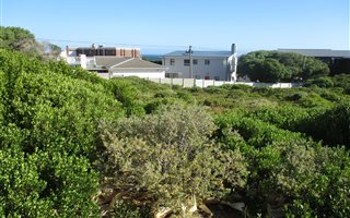 1159 m² Land available in Franskraal
