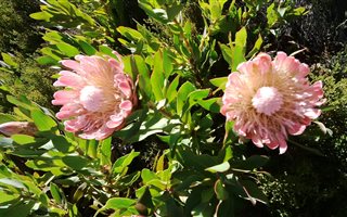 588 m² Land available in Bettys Bay