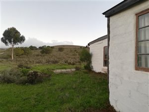 1.9 ha Farm in Tesselaarsdal