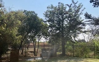 3 Bedroom Apartment in Kilner Park