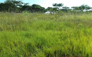 1312 m² Land available in Granite Hill