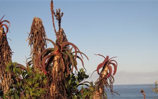 2000 m² Land available in Springerbaai Eco Estate