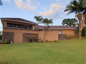 4 Bed House in Montrose