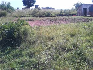 4000 m² Land available in Inanda