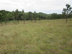 1000 m² Land available in Margate