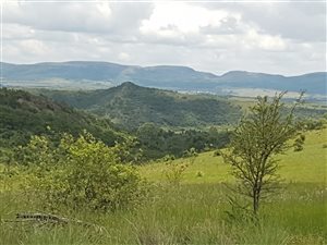 23 ha Farm in Magaliesburg