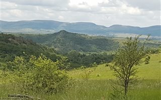 23 ha Farm in Magaliesburg