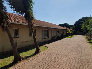 3 Bed House in Wolmer