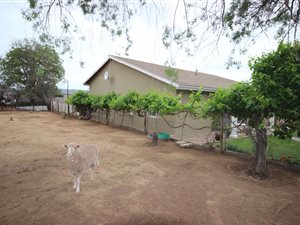 3 Bed House in Oudtshoorn