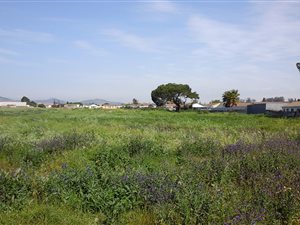 2 ha Land available in Northpine