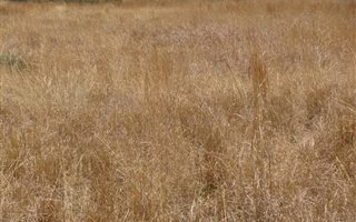 5 ha Farm in Mooiplaats AH