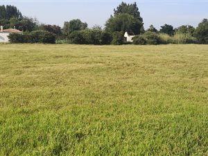 5103 m² Land available in Daleside