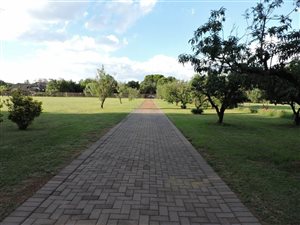 1.2 ha Land available in Rispark